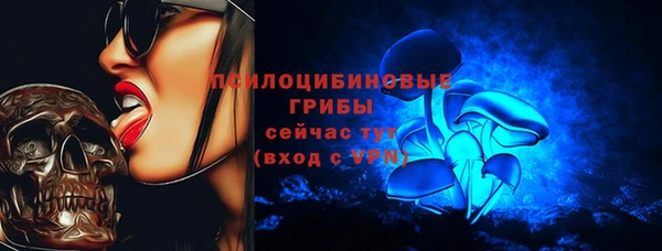стаф Белоозёрский