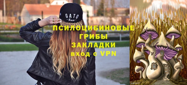 стаф Белоозёрский