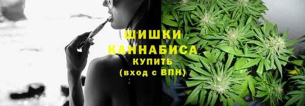 стаф Белоозёрский