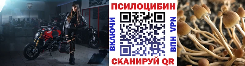 Галлюциногенные грибы Psilocybine cubensis Сычёвка